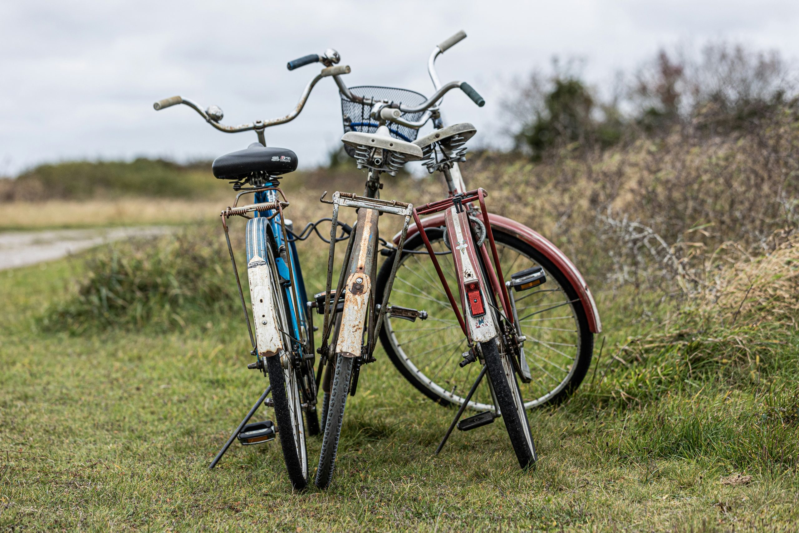 3 giorni in bici alla scoperta della Val Sestaione